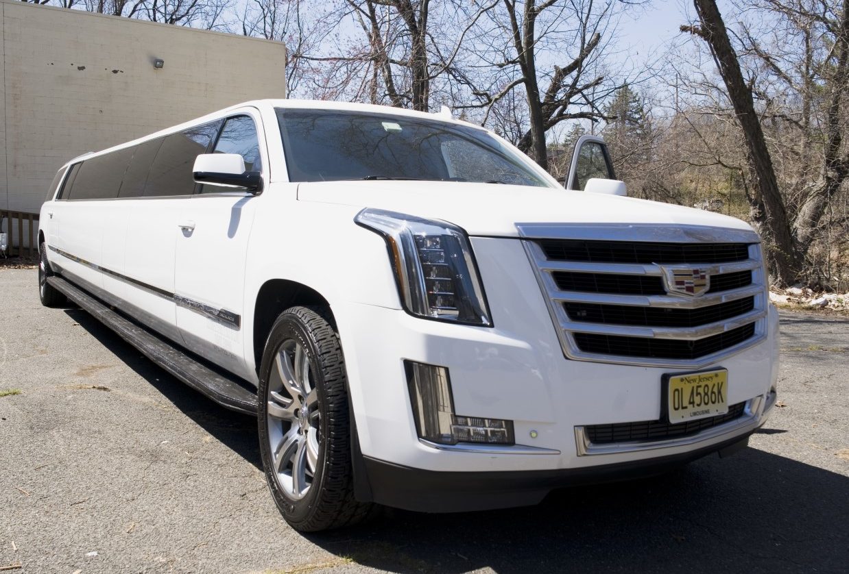 Party Bus And Limo Fleet 